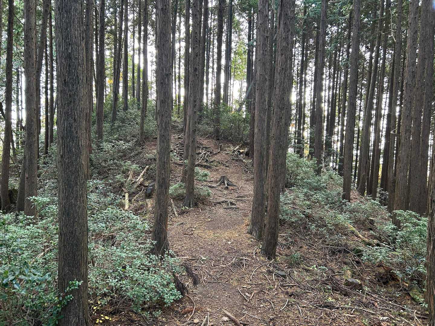 一旦、岩道を降り、雪彦山に向かっています。普通な里山道。