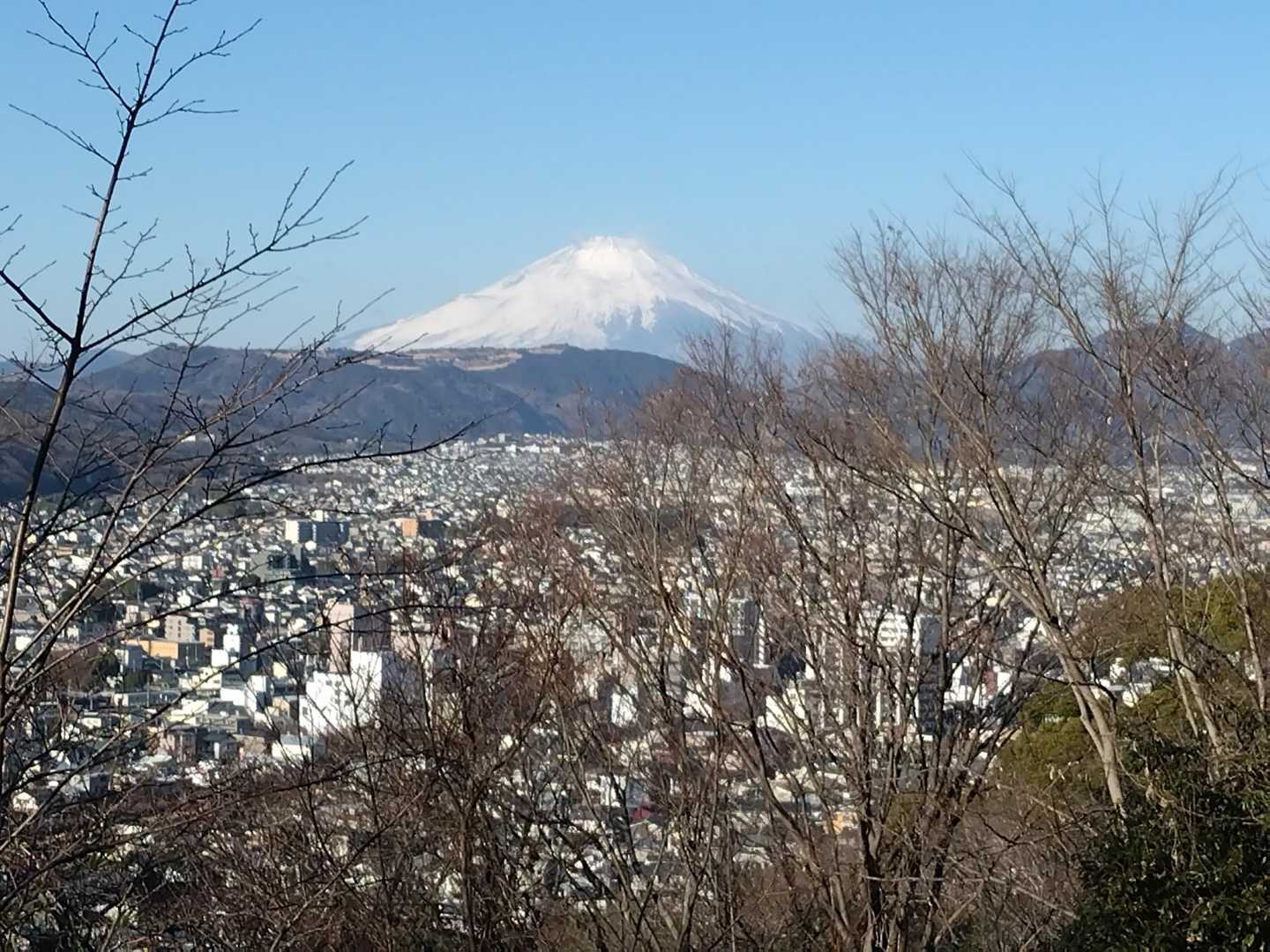 やっぱり、富士山は最高〜🎵