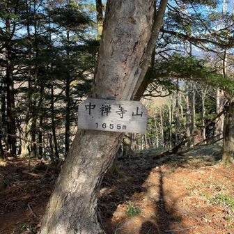 特に何も無く到着〜