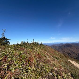 今年の5月、坪入山からヤブと雪庇尾根を乗り越えてこの山頂へ来たんだよな…。あのときの苦労が蘇る😅