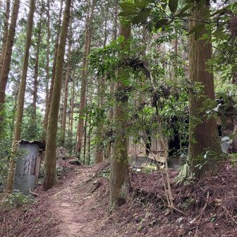 計画では負嫁岩へ回り6月やり残し作業片付けて権内水路北広場に下り竜王山自然歩道で帰る予定でしたが宝池寺滞在が長過ぎ（３時間 笑）時間切れ 🤣

作業１時間 撤収します 👣