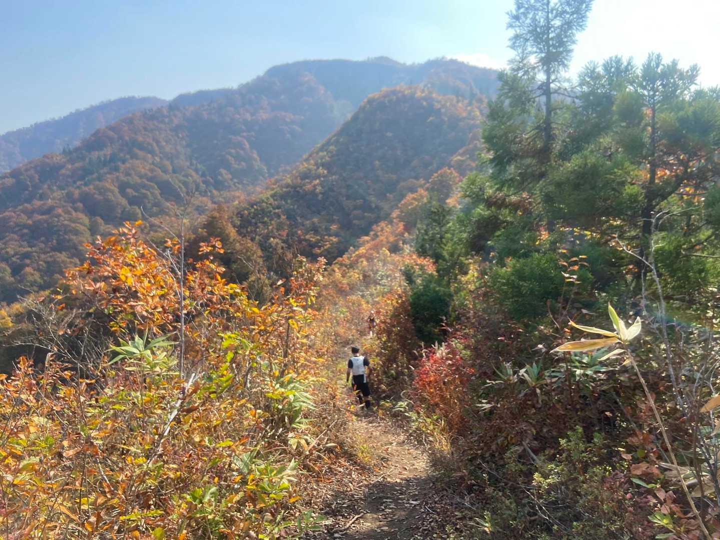 紅葉真っ盛り🍁