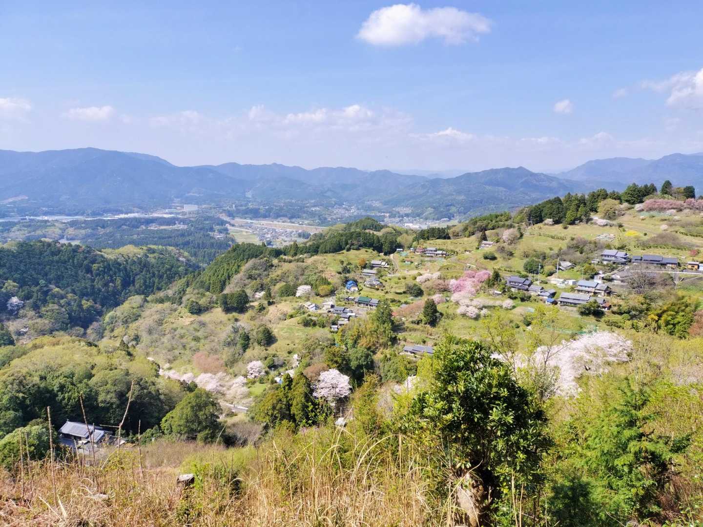 万燈山 往復コースの写真