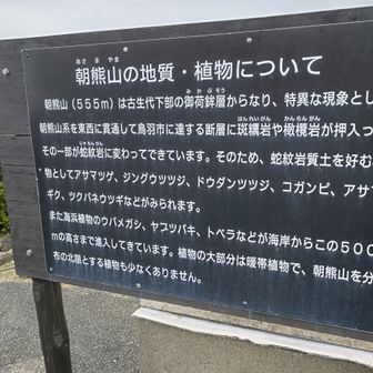 アサマツゲやアサマギクなど、"アサマ"がついた植物が自生してるらしい🌿