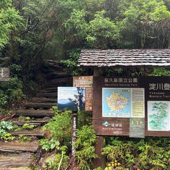 淀川登山口に下山
雨で濡れて寒いなか、バスの時間まで3時間も待合場所？で時間潰し
あまりにも寒くてシェラフを出して仮眠