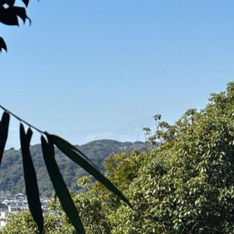 ギリギリ富士山も見えるよ！！！