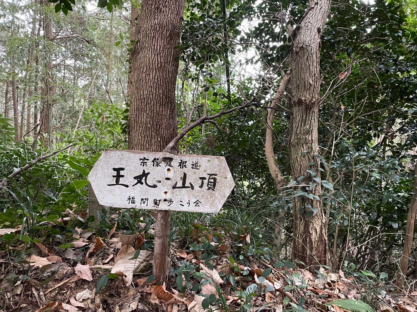 🪧王丸山頂
とは…ありますが…ピークな感じでは無い所に
🪧ありました^ ^
きっと何かの由来があるのでしょうね♪