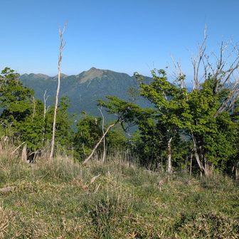 三嶺が近くなってきました