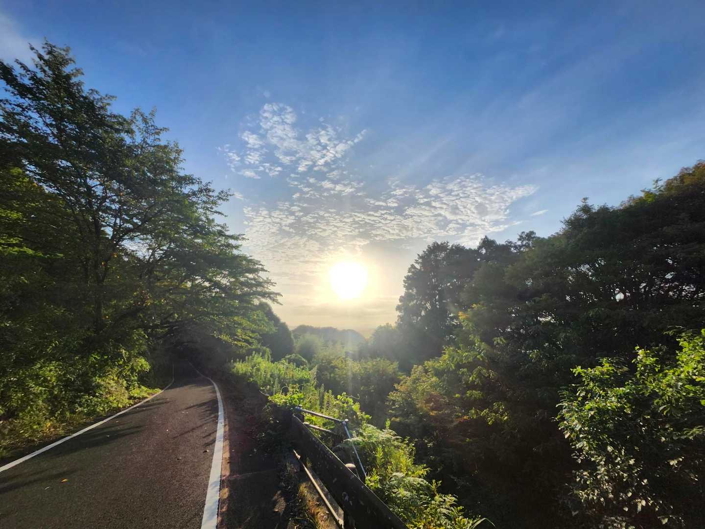 朝日が眩しい😎