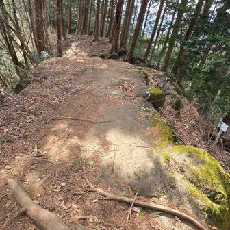 畳岩まで足をのばしました