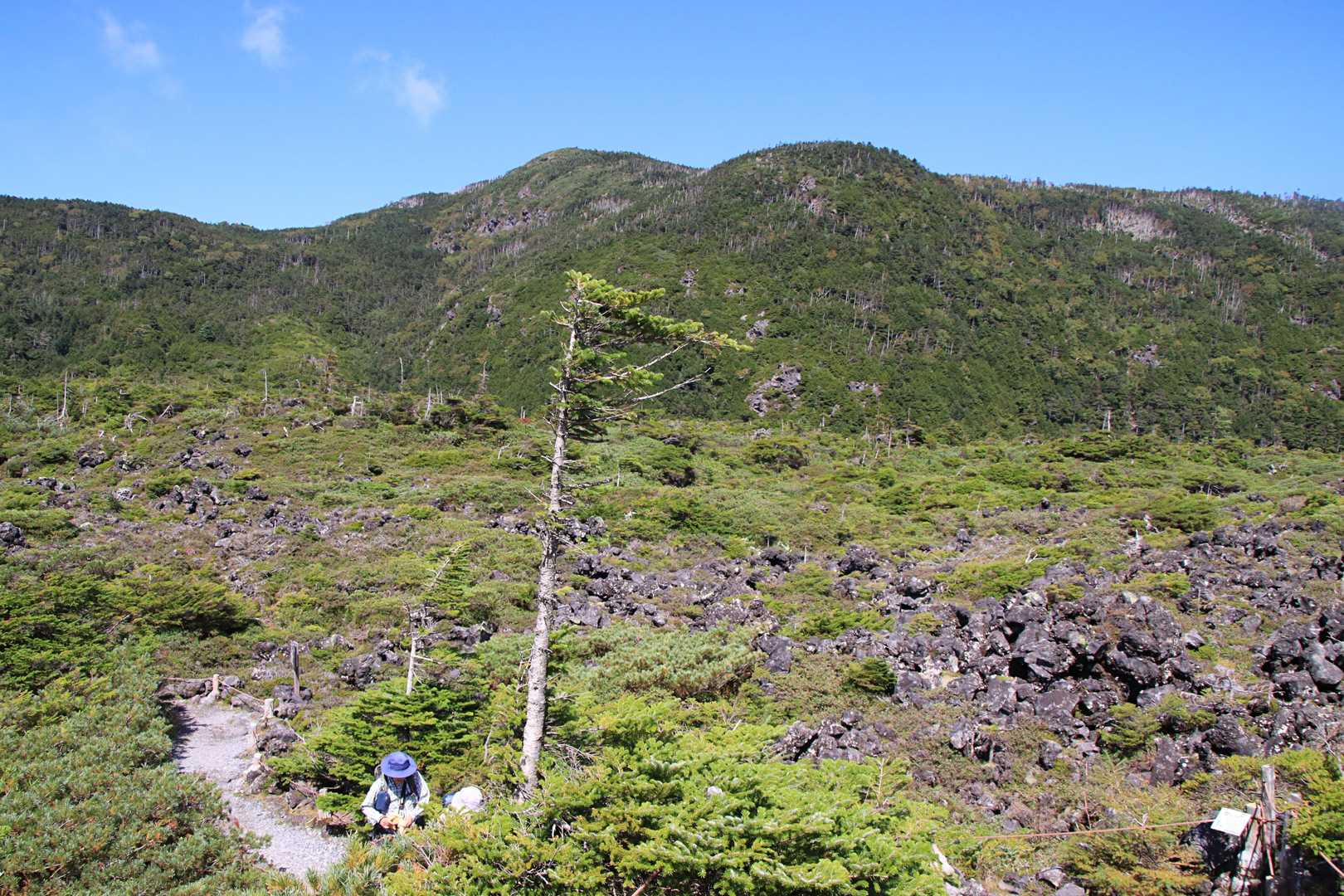 坪庭に戻り、北横岳を仰ぎ見る。
上空はすっかり八ヶ岳ブルー🔷