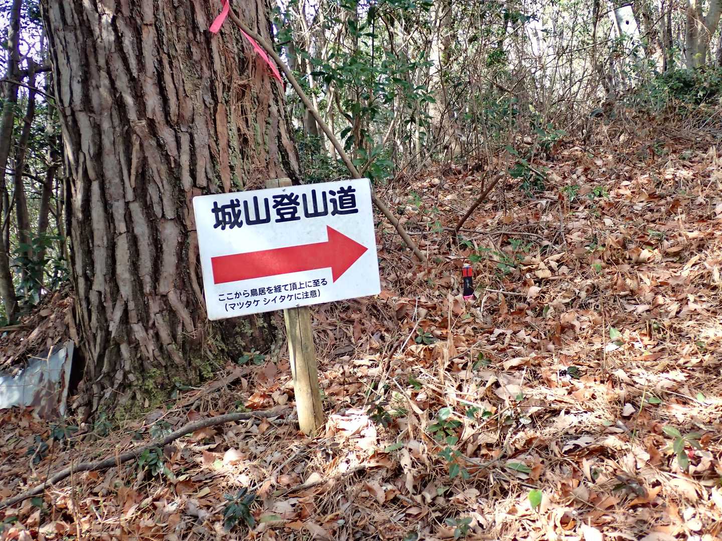 マツタケ、シイタケに注意って。