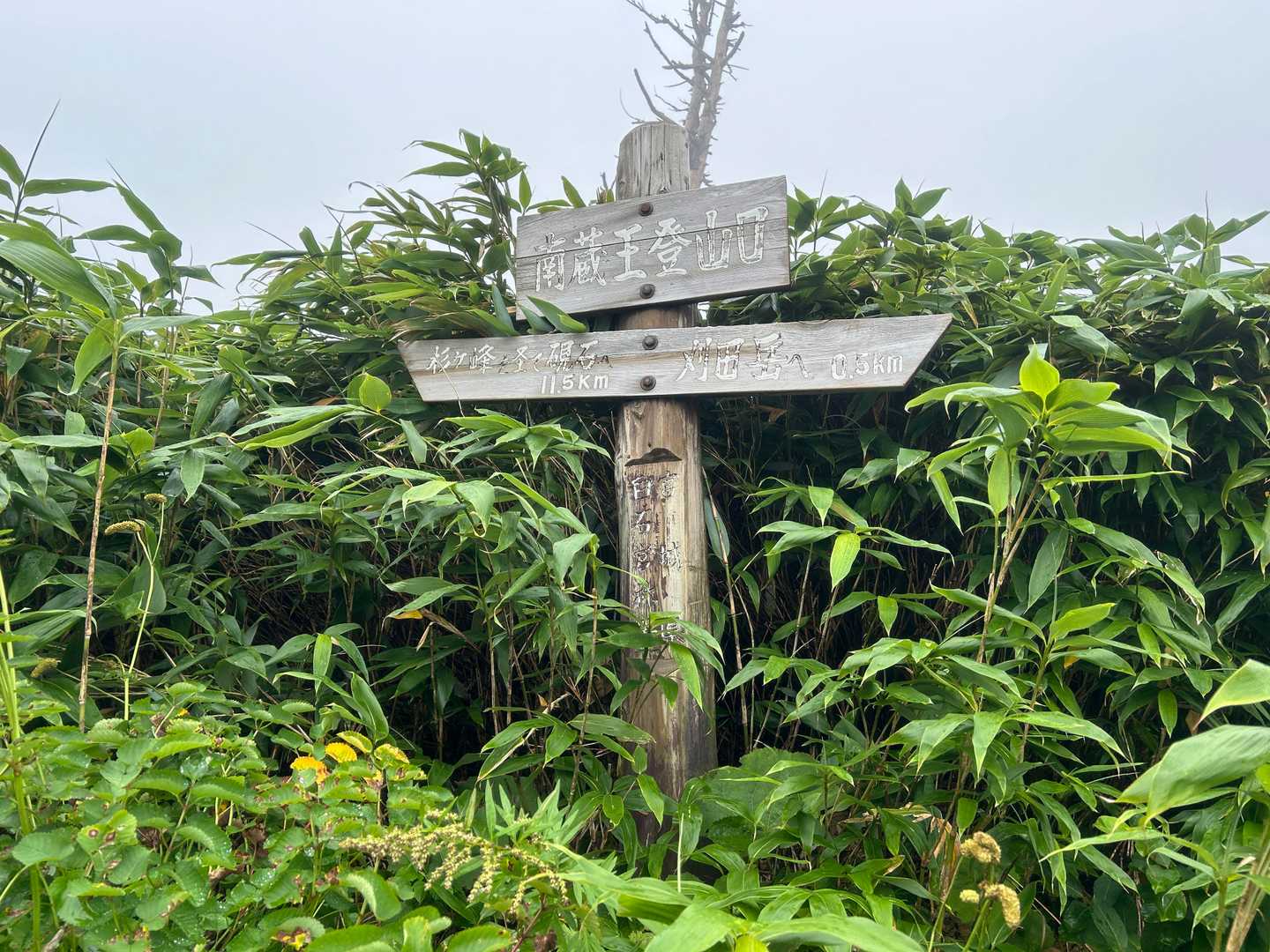 南蔵王登山口に戻ってきた。
自宅に戻って知りましたが、杉ケ峰から約２㎞先の屏風岳が宮城県最高峰でした。
