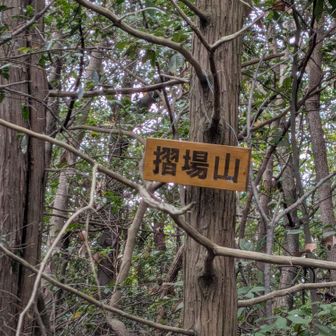 すりばやま