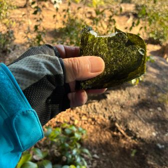 ここでも行動食

若くないので牛🐂のようには食べられませんが…