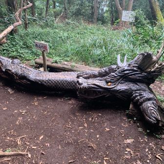 道中で見かけた西山の龍🐉
とても丁寧に作られていて、見応えがあります！
