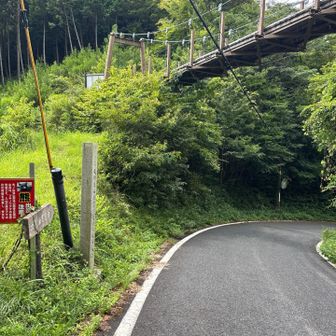 ここからは舗装路を歩いて下山です