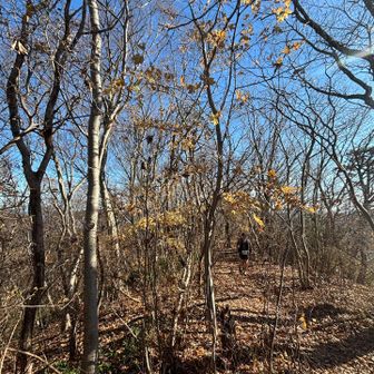 稜線に近づくと聞こえる応援？掛け声？
スタッフゥ〜な人に聞いたら今日はトレラン大会。100人以上いると！タイタニック岩に行ったらその数とすれ違う話。タイタニック岩はパス🙅