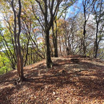 北西尾根の山頂は、木々が紅葉🍁して気持ち良い、静かなところでした！