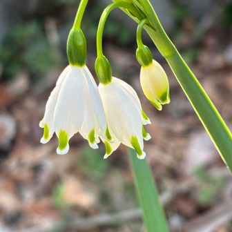 無事下山
ありがとうございました