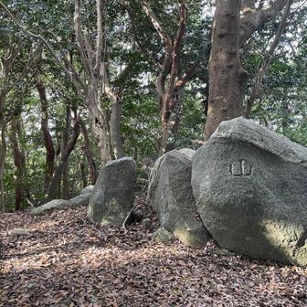 四座目⛰️二の山ゲット