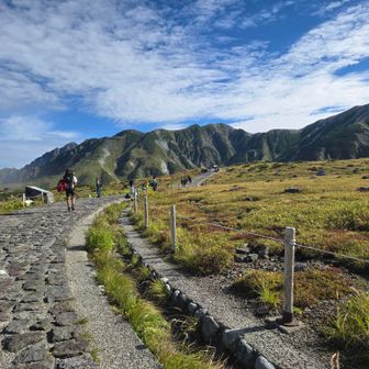 歩道が気持ちよいです