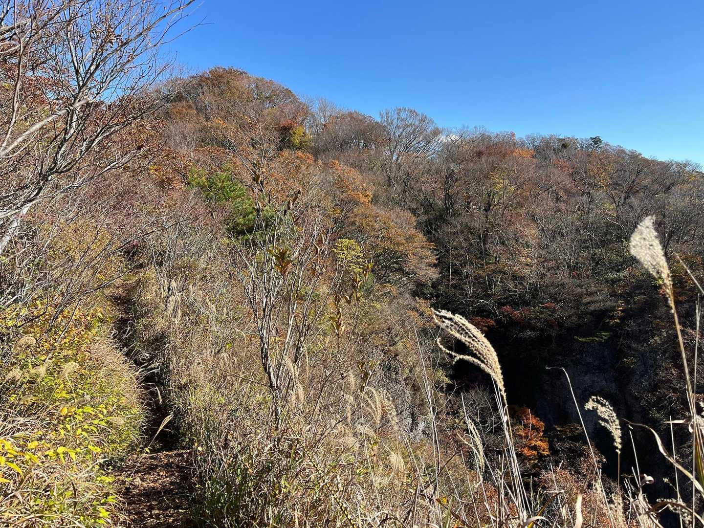 気持ちのいい尾根歩き🚶‍♀️