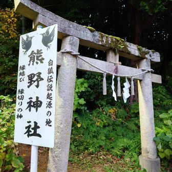 下りきったところにも鳥居が⛩️