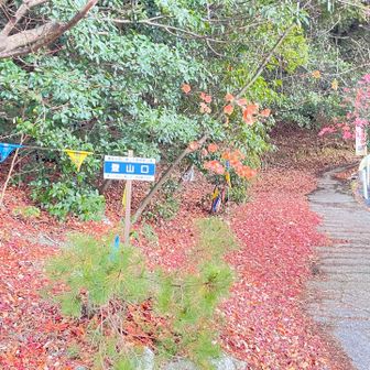 中尾根コースからスタート