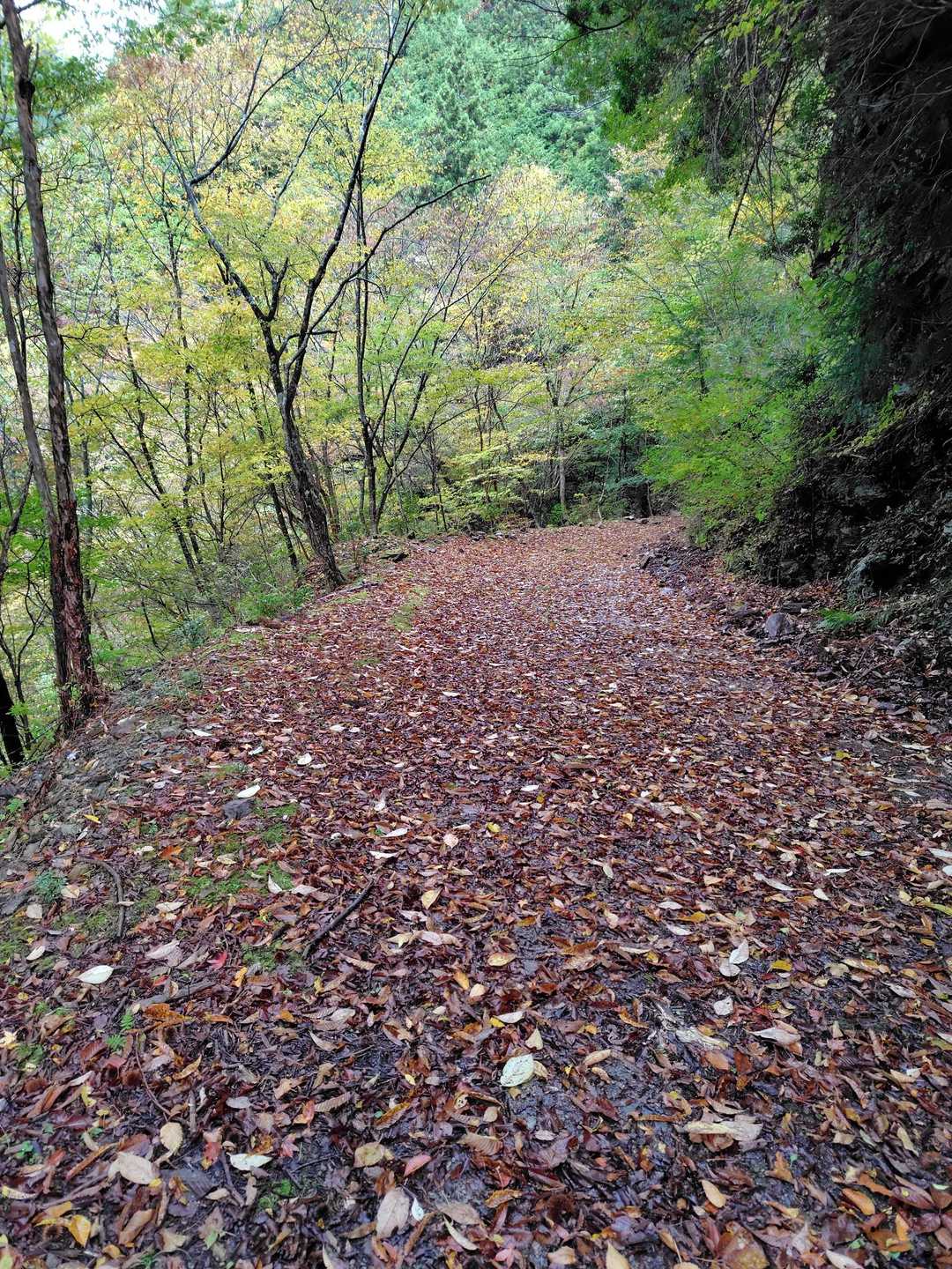 キワラ滝登山口-ハッピのタワ登山口-赤ゾレ山登山口-木梶山 往復コースの写真