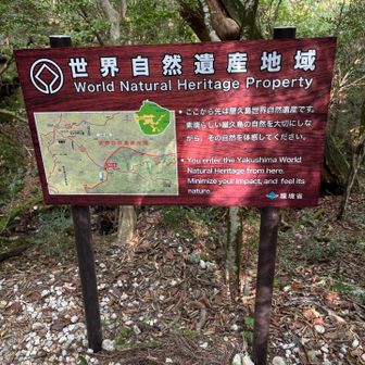 ここから世界遺産