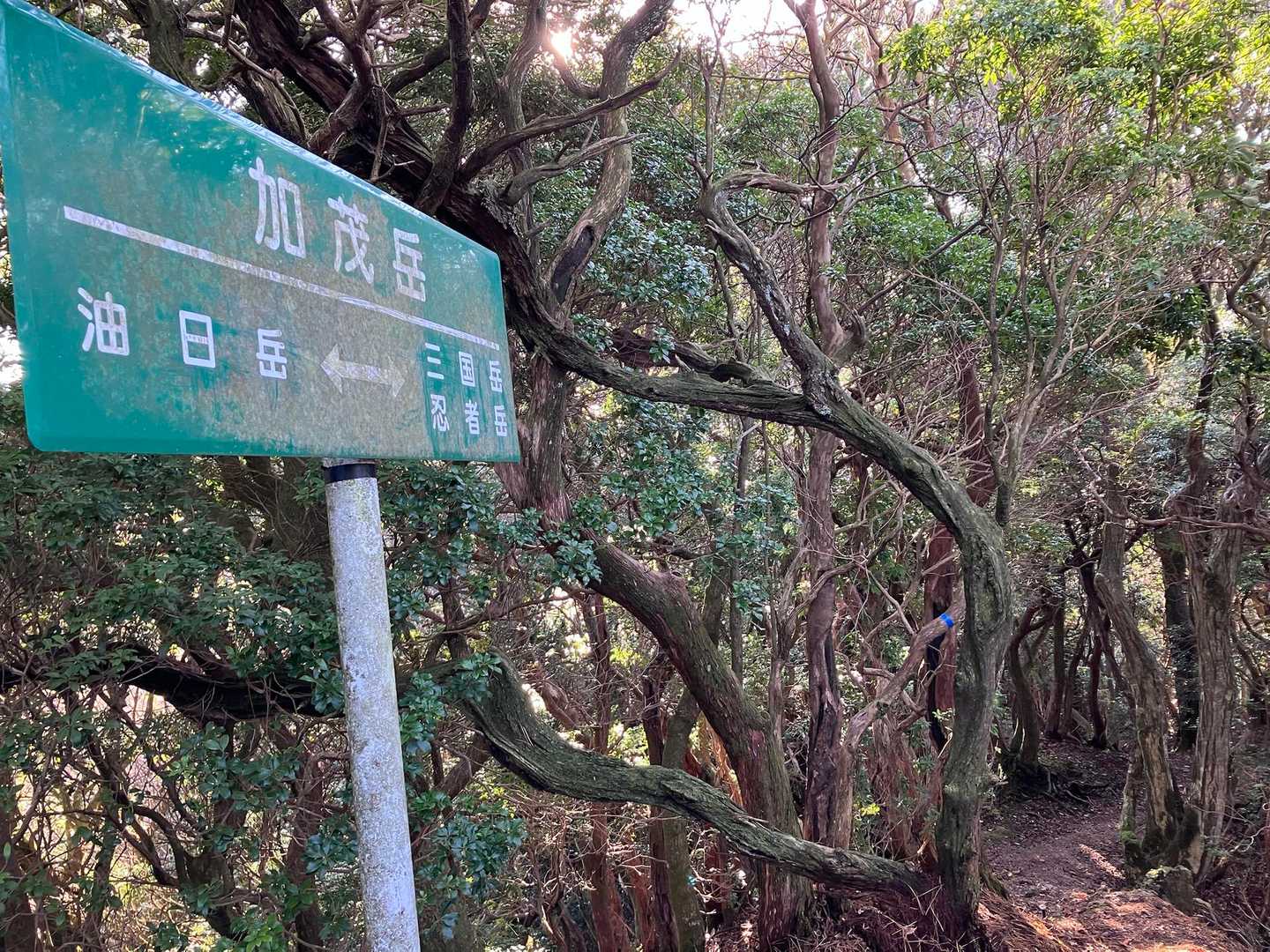 加茂岳( •̀ᴗ•́ )و ̑̑