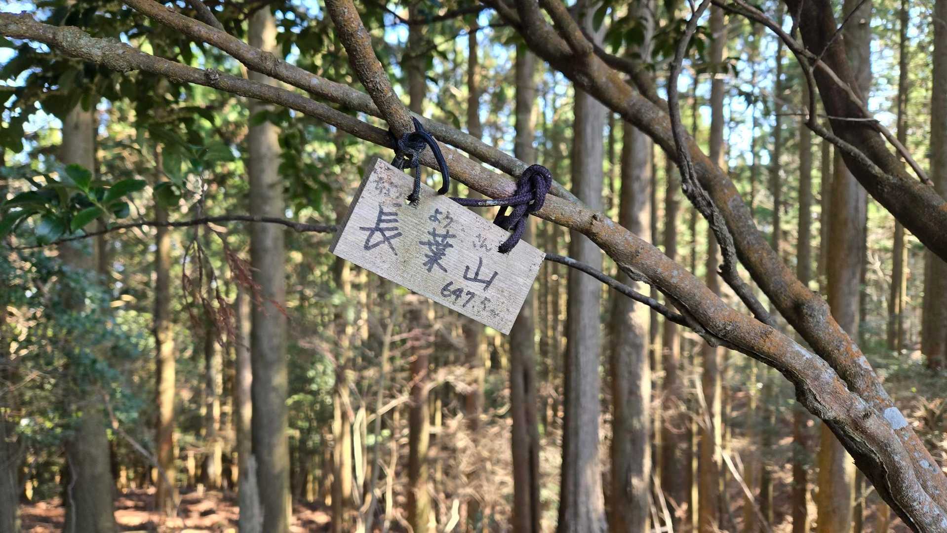 初めての長葉山