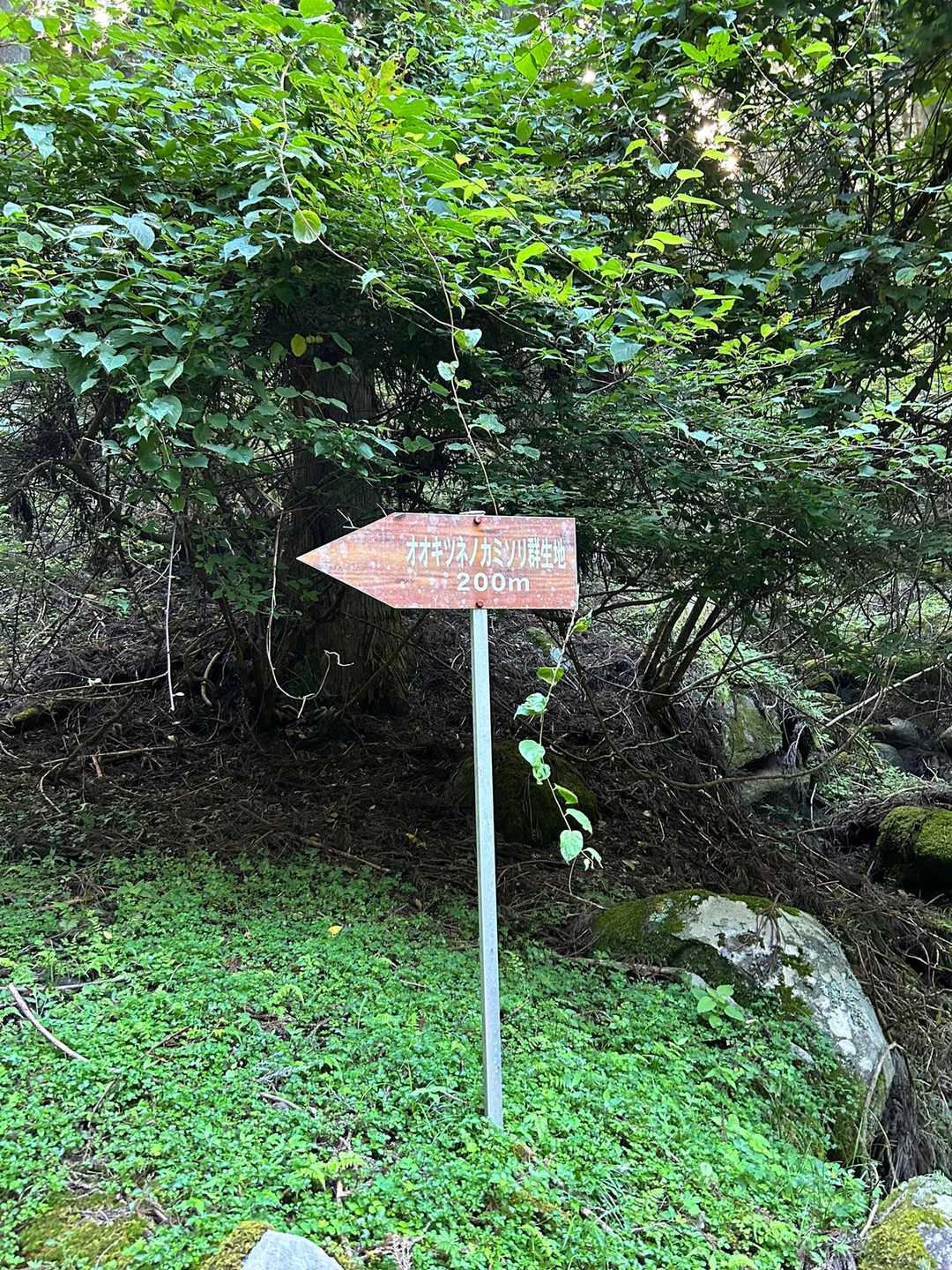 あ、あれ？
二百メートルのまま？😅