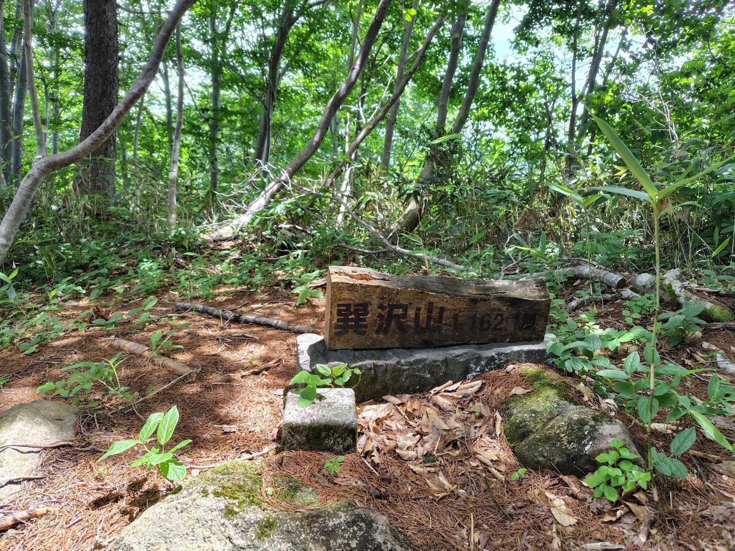 最後のピーク「巽沢山」
展望も何もない山頂でした |ω･`)