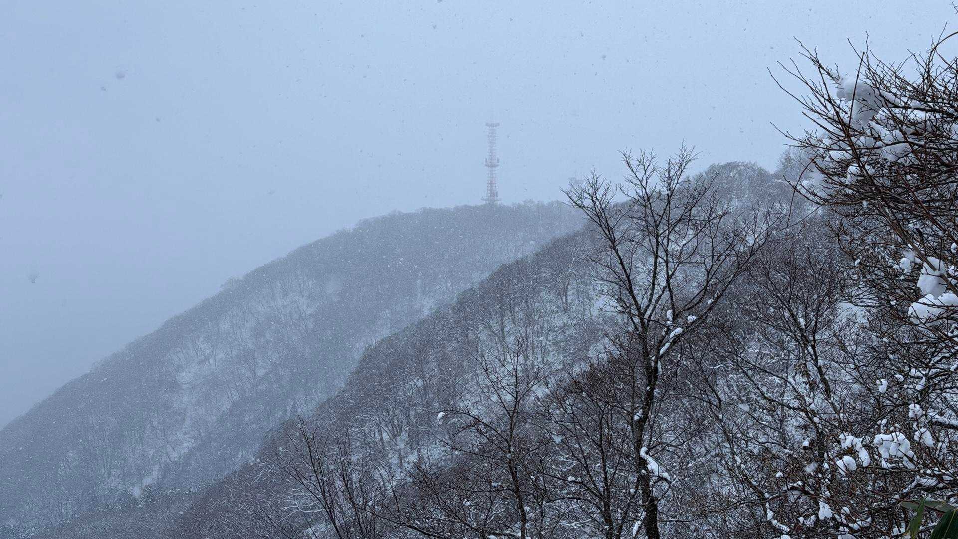 旧登山道コース登山口-牛の背山 周回コースの写真