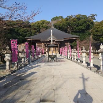 ピンクののぼり旗がかわいい
飯山観音長谷寺（ちょうこくじ）
裏に白山への登山口があります