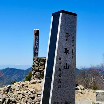 雲取山（くもとりやま）

東京都・埼玉県・山梨県の三都県境に位置する標高2,017mの山で、日本百名山の一座。東京都の最高峰でもあり、奥秩父の主峰の一つです。広い山頂からの展望と豊かな原生林が魅力です。