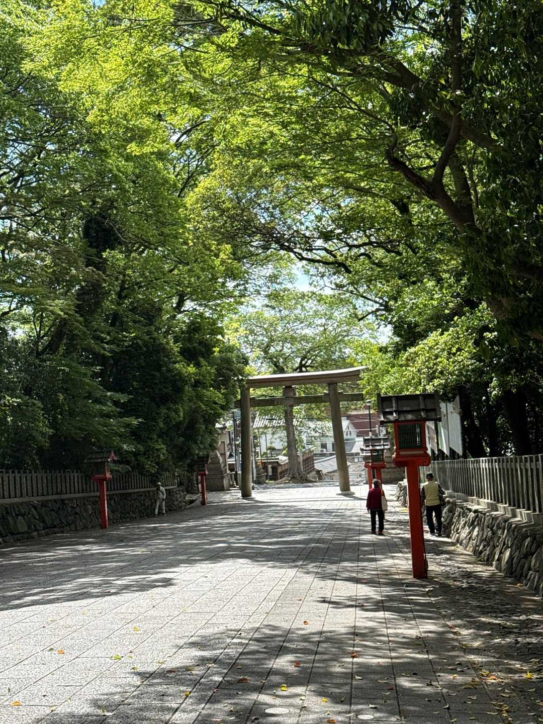 この先が駅です
ツツジロール満喫しました☺️