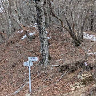 分岐に戻って〜