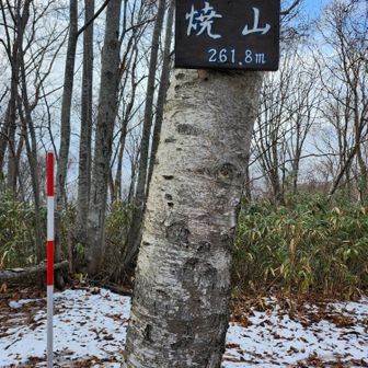 ここは一番登頂回数が多い(YAMAPやる前から)
野鳥も観れるし