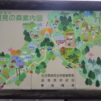 塩見の森🌳