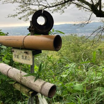 山頂にはスカイツリーや筑波山が覗ける竹筒があります。今日は生憎の天気で見えません。