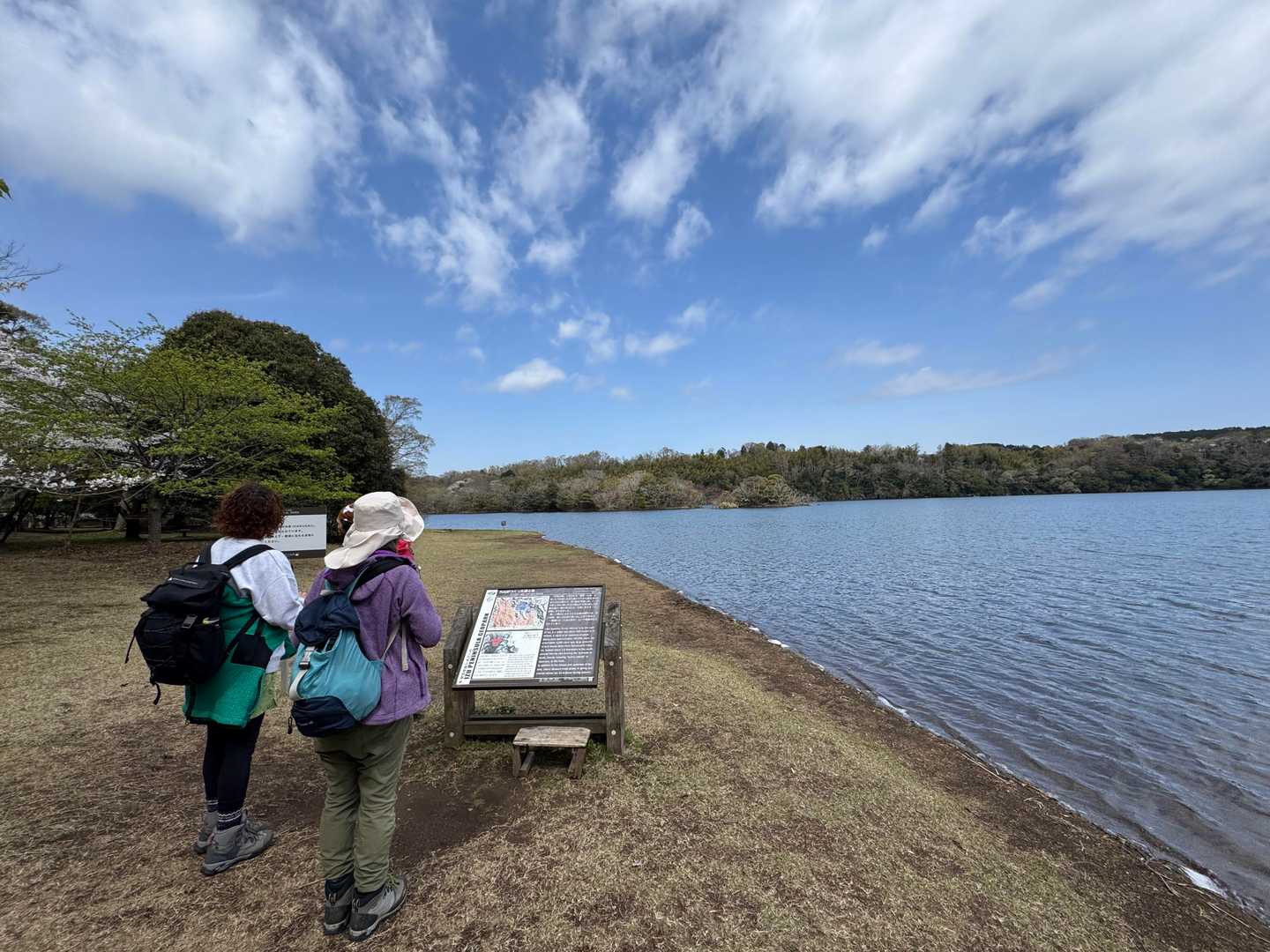 【フラット登山】一碧湖から別荘地を歩いて伊豆さくらの里への写真