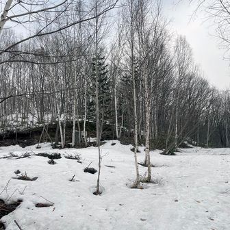 今日は気温が高いから、雪はズボズボ。

長靴のドローコードを絞っても、深くズボるとやっぱり雪が入って不快極まりない。