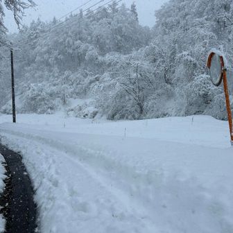 今日は5本で帰ります🚶‍♂️


今年も残すところあと364日になりました
現在、年間1,825本ペースで登っております 笑
（5本✖️365日）
そっげ登りませんが・・・

今年も一年、城山だけでなく、たのC！  やまlife を送りたいと思います😀


ーーーーーーーーーーーーーーーー