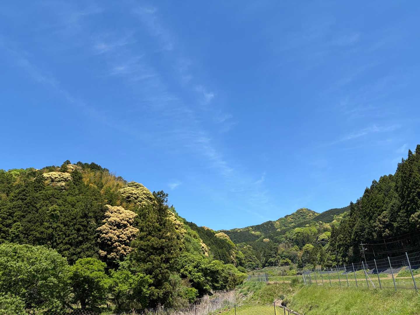 今日も山を楽しみました😂