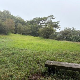 近くにはベンチや東屋があります