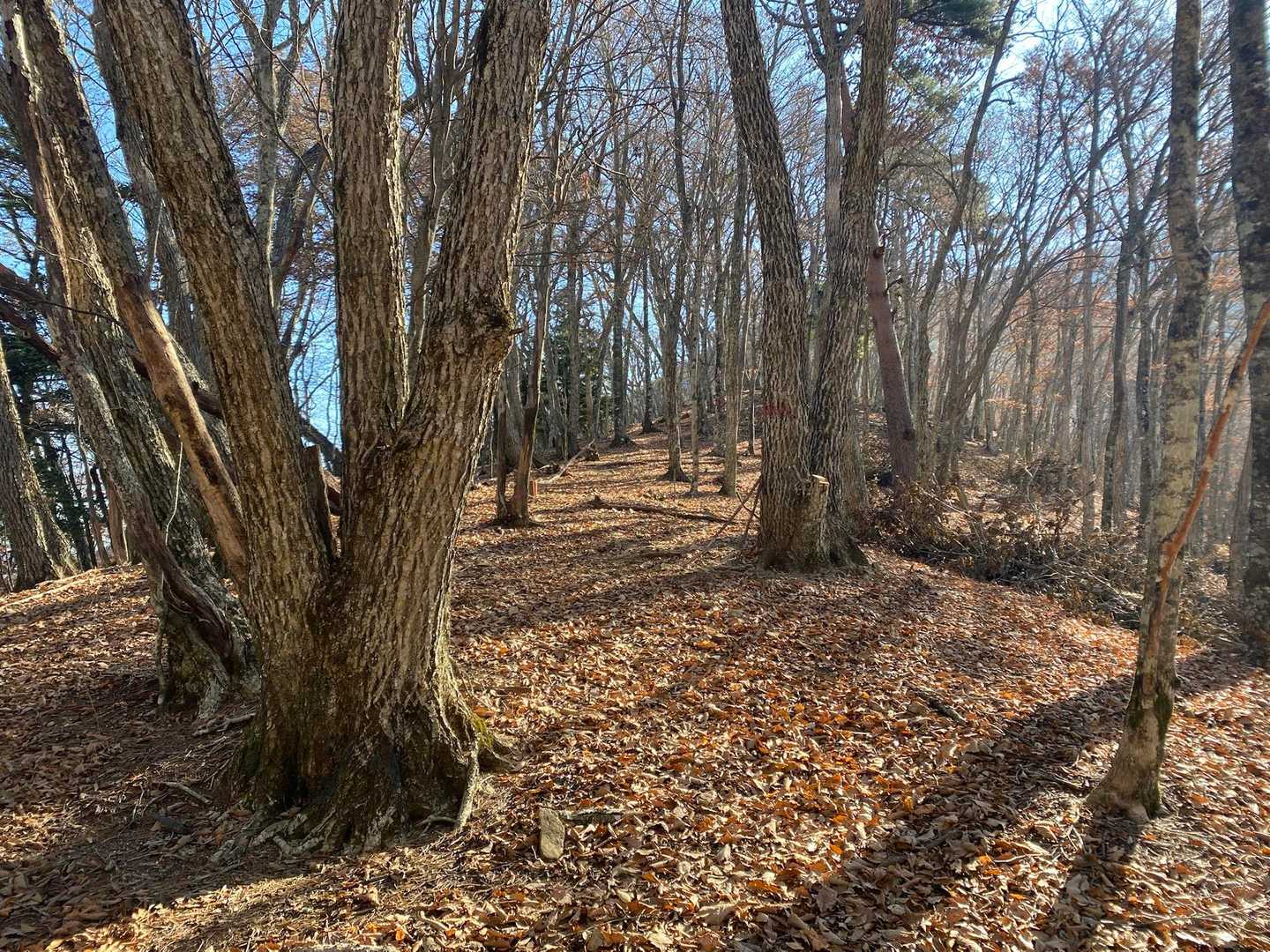 氷点下の山頂でのんびりしてしまった
念の為ポケッタブルダウンを持ってきて大正解👍

急いで次の黒岳へ
