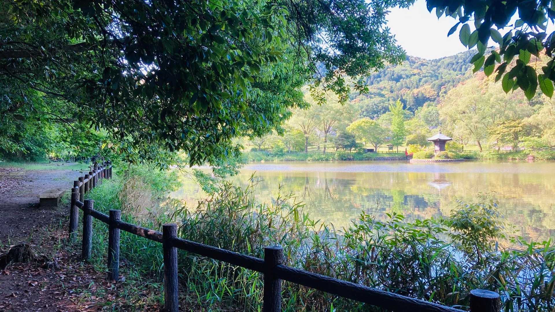 高根山-山星山 周回コースの写真